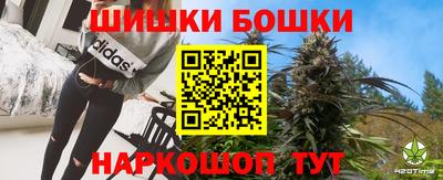 гашик Сланцы