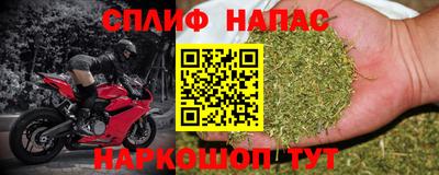 гашик Сланцы