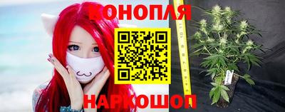 spice Славгород