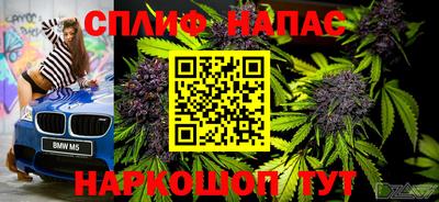 spice Славгород